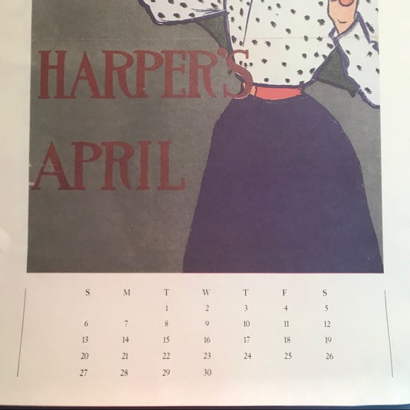 Snowbell has a mass in stomach, need sales 20% off - Picture 2 of 2